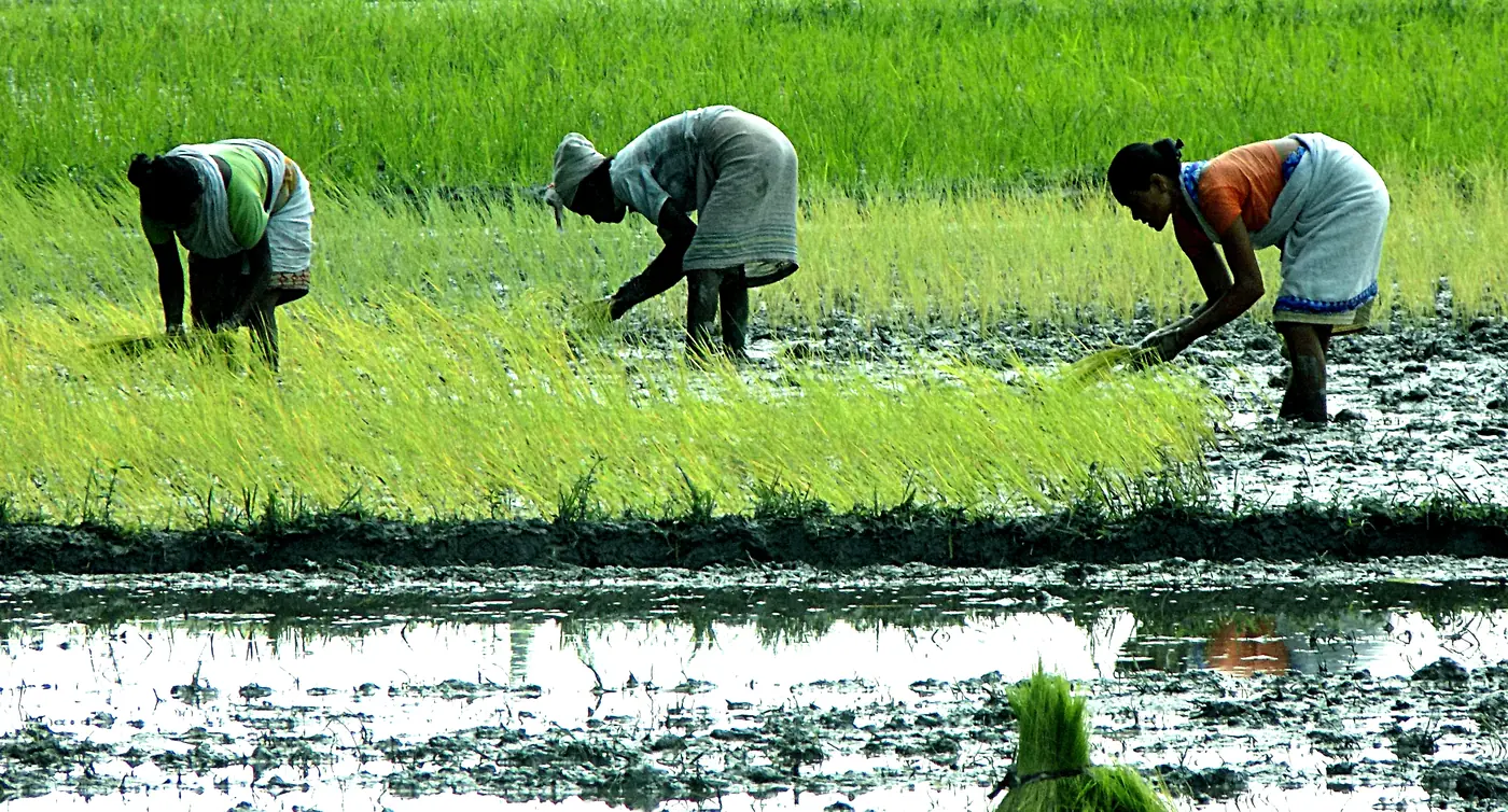 El Niño’s Return and Its Ripple Effects on Global Weather